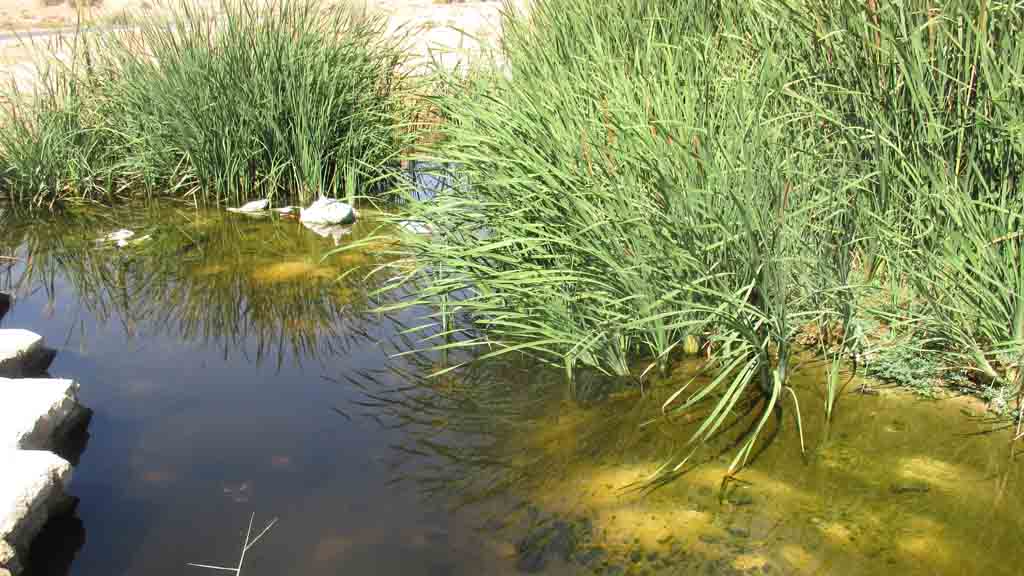 ETUDES D’IMPACT SUR ENVIRONNEMENT