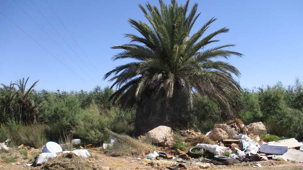 ETUDES D’IMPACT SUR ENVIRONNEMENT